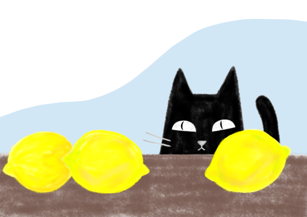 レモンと猫のイラスト