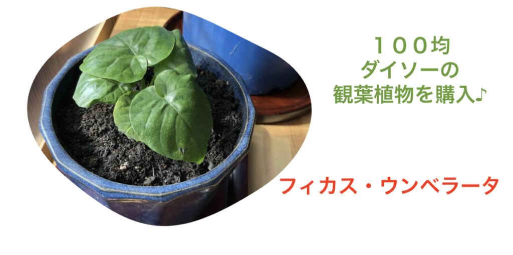 スクリーンショット 2023 01 25 13.59.28