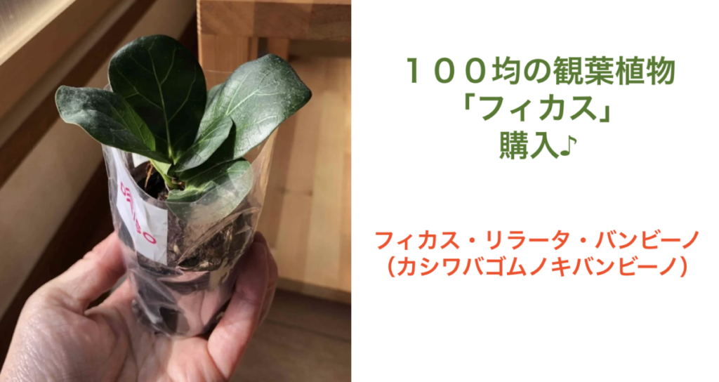 スクリーンショット 2023 01 25 14.52.45