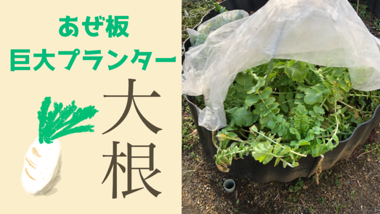 名称未設定のアートワーク 15