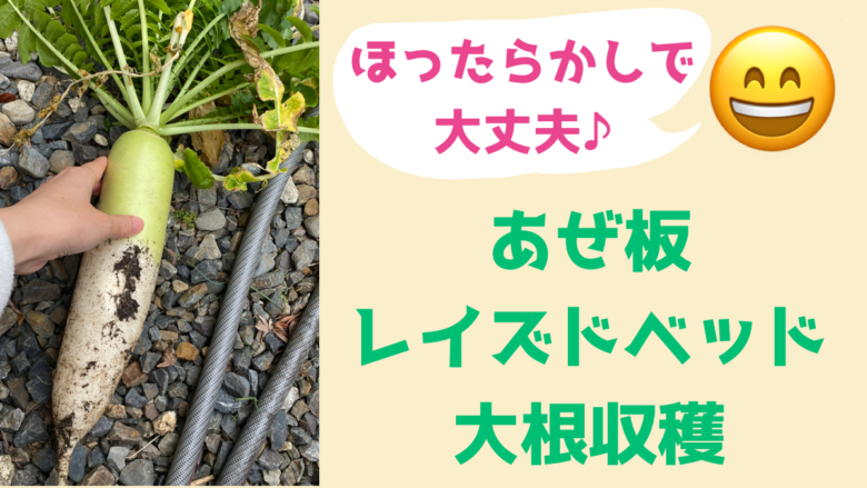 名称未設定のアートワーク 2