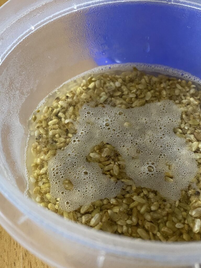 麹で手作り調味料〜オイスターソースもケチャップも甜麺醤もあれもこれも手作りできちゃう! 23 IMG 2999