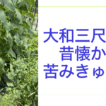 大和三尺胡瓜.001