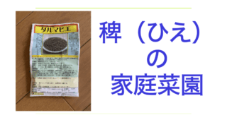 稗.001