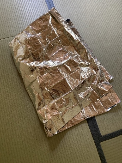 IMG 3135（中）