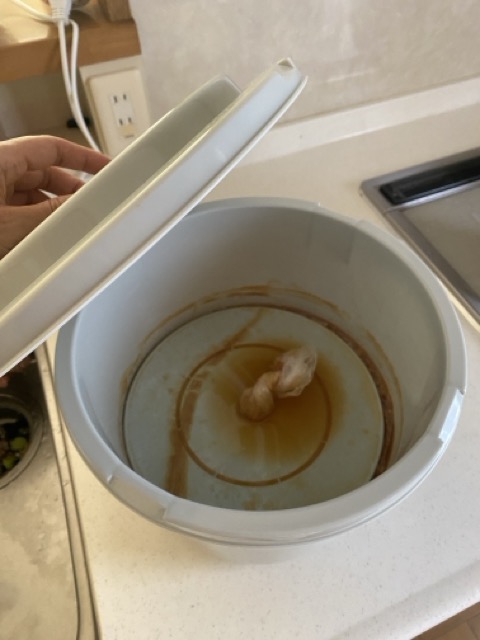 IMG 3140（中）