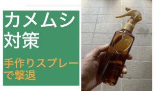 カメムシ.001