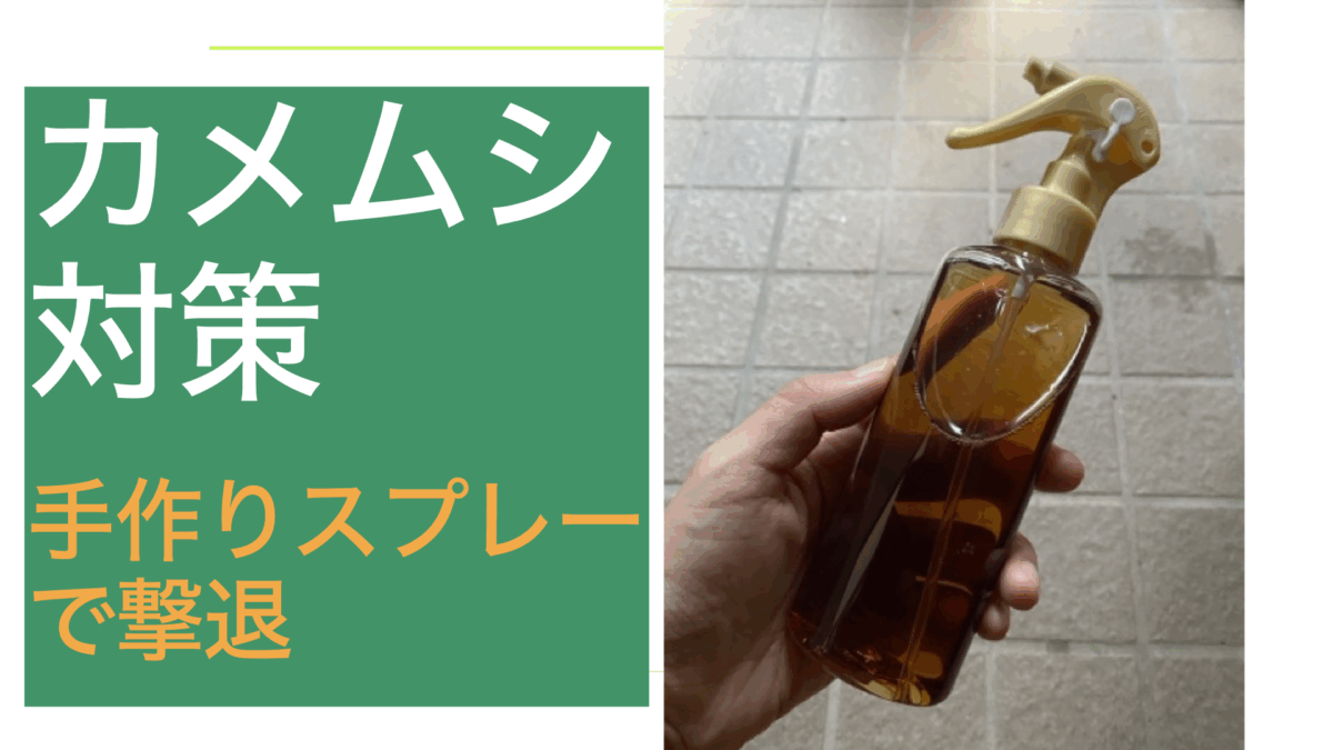 カメムシ対策