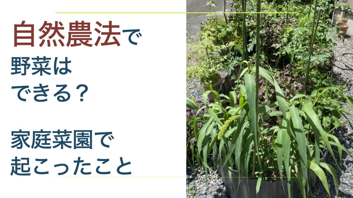 断食と肥料