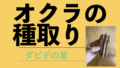 オクラの種取り.001