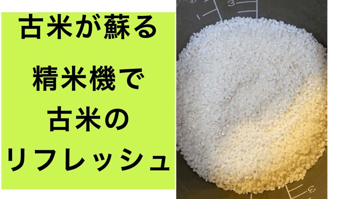 古米のリフレッシュ