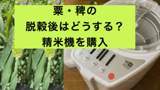 稗の精米.001