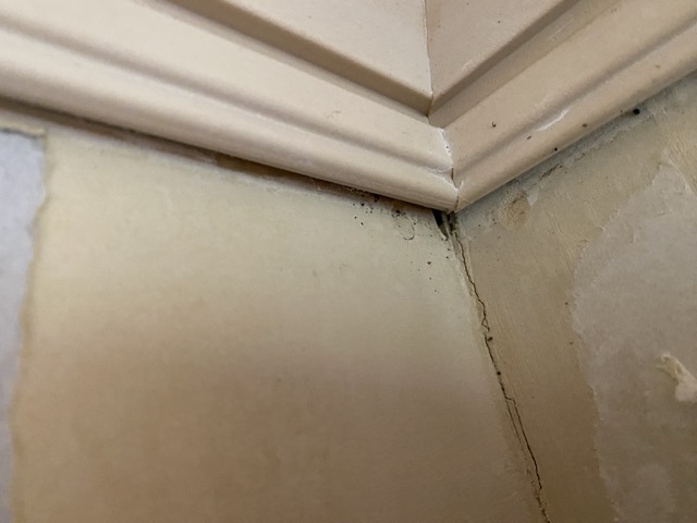 IMG 3343（中）