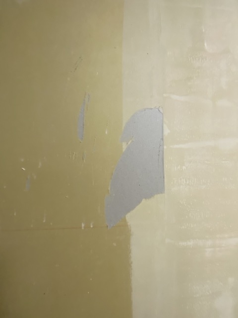 IMG 3350（中）
