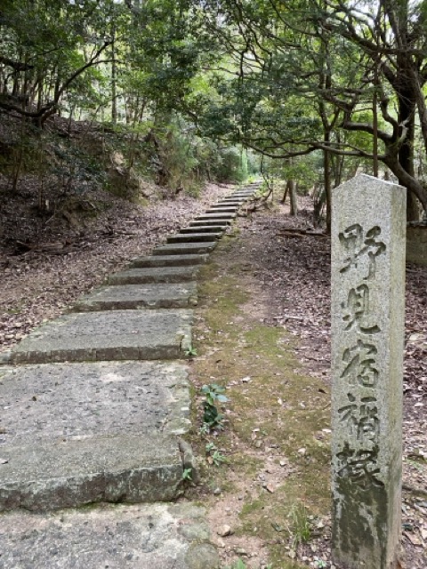 IMG 3545（中）