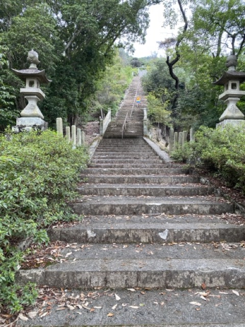 IMG 3550（中）