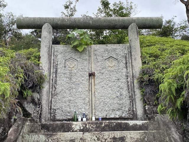 IMG 3553（中）