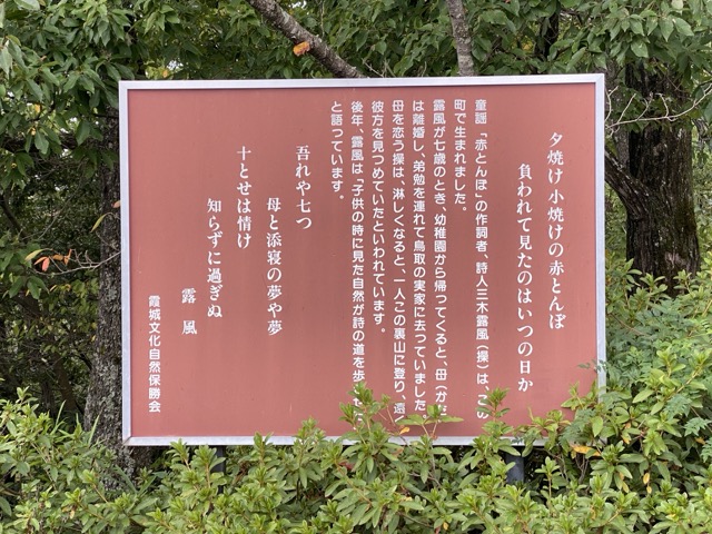 IMG 3563（中）