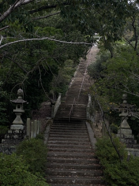 IMG 3566（中）