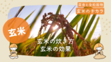 玄米の効果~玄米を食べ始めて体に起こった変化 12 玄米の効果